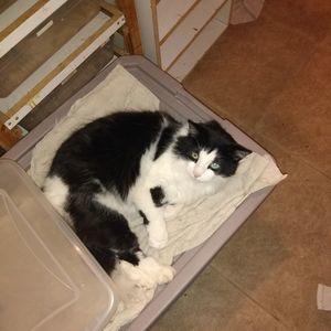 Meet your Posher, Patrick